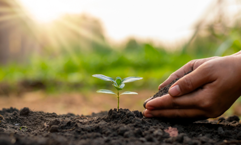 Agricultura: Uma Boa Forma de Negócio